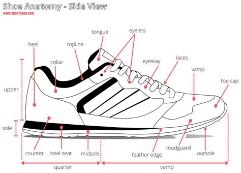 shoe component names.